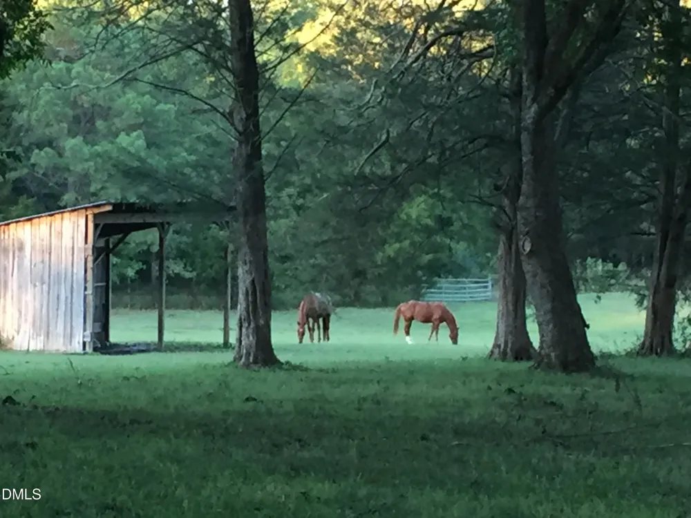 146 Hoke Brooks Road Siler City, NC 27344
