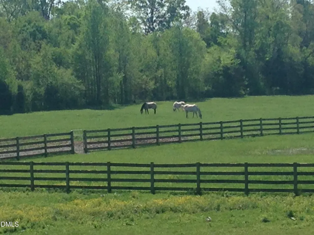 146 Hoke Brooks Road Siler City, NC 27344