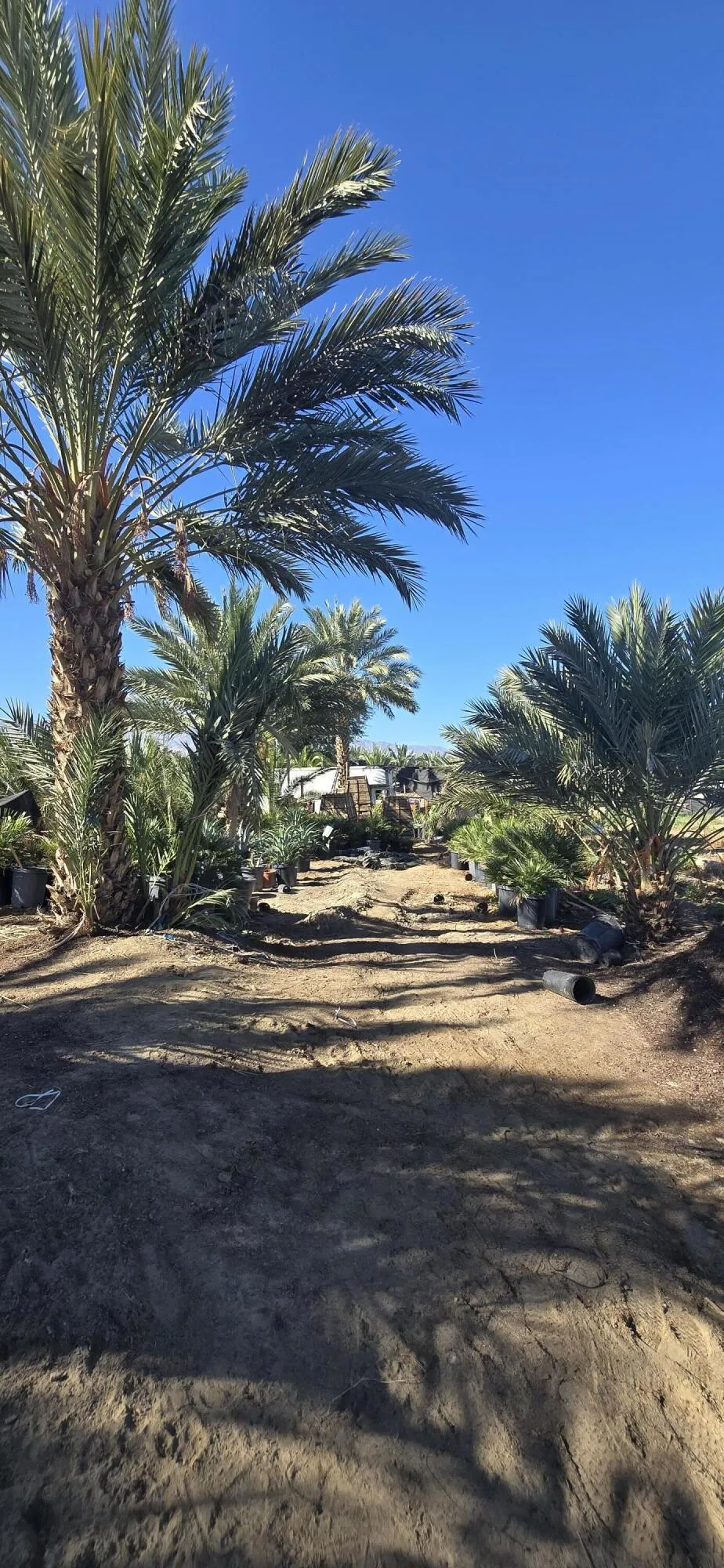 76850 Pierce Street Thermal, CA 92274