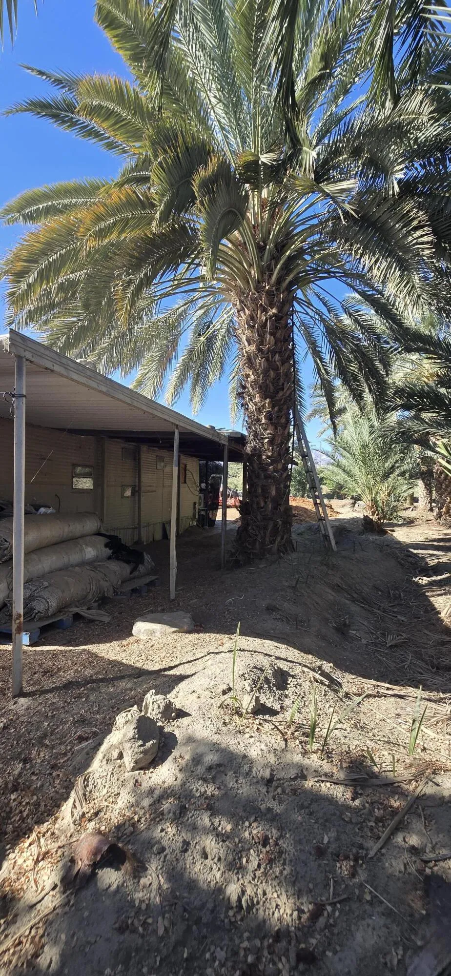 76850 Pierce Street Thermal, CA 92274
