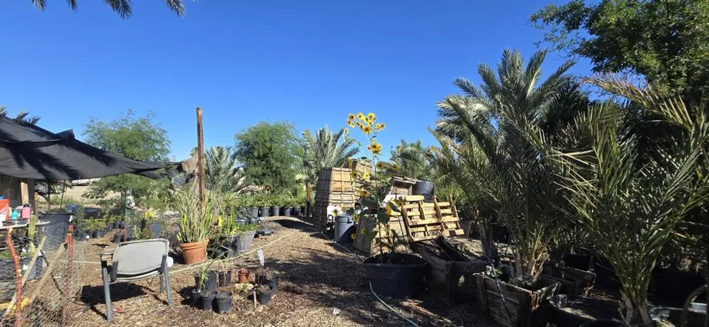 76850 Pierce Street Thermal, CA 92274