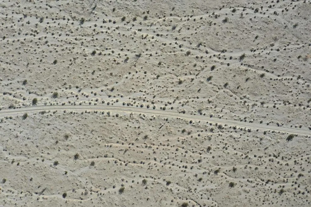 Borrego Salton Seaway Borrego Springs, CA 92004