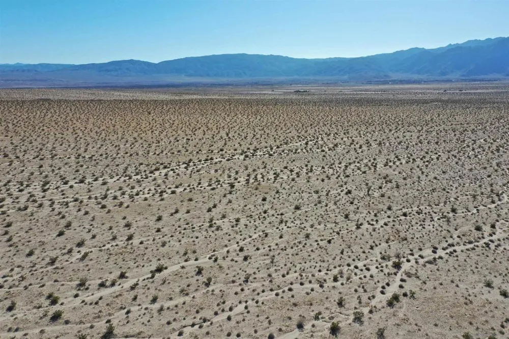 Borrego Salton Seaway Borrego Springs, CA 92004