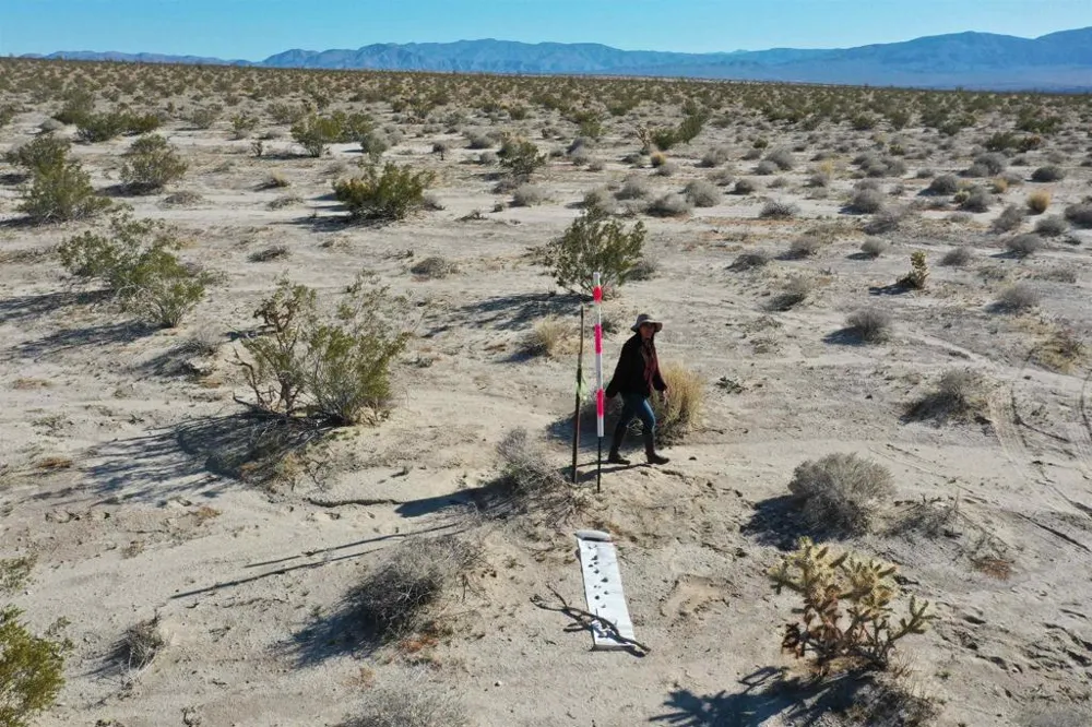Borrego Salton Seaway Borrego Springs, CA 92004