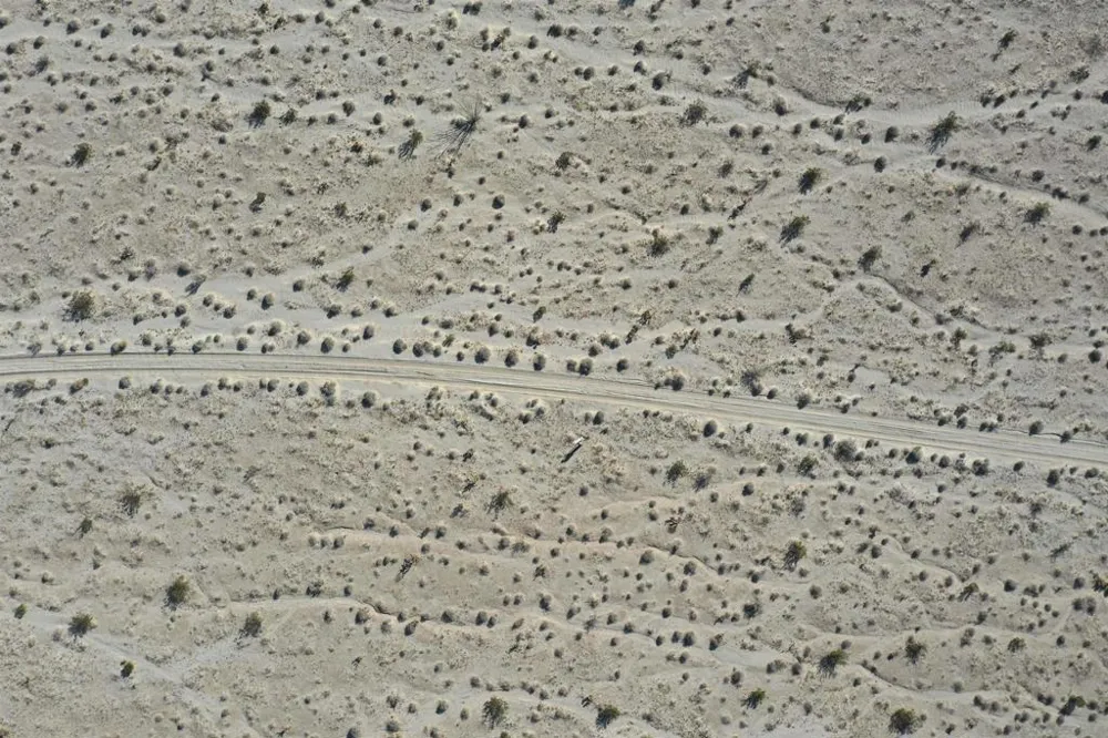 Borrego Salton Seaway Borrego Springs, CA 92004