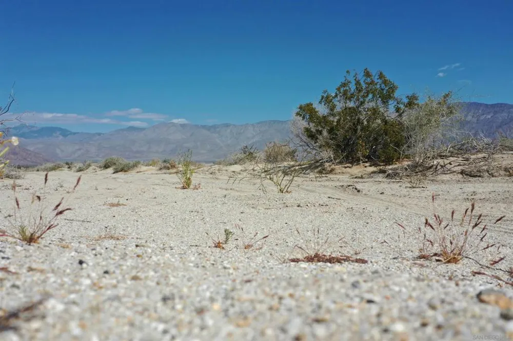 Borrego Salton Seaway Borrego Springs, CA 92004