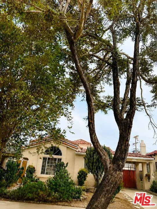 1271 W 81st Street Los Angeles, CA 90044