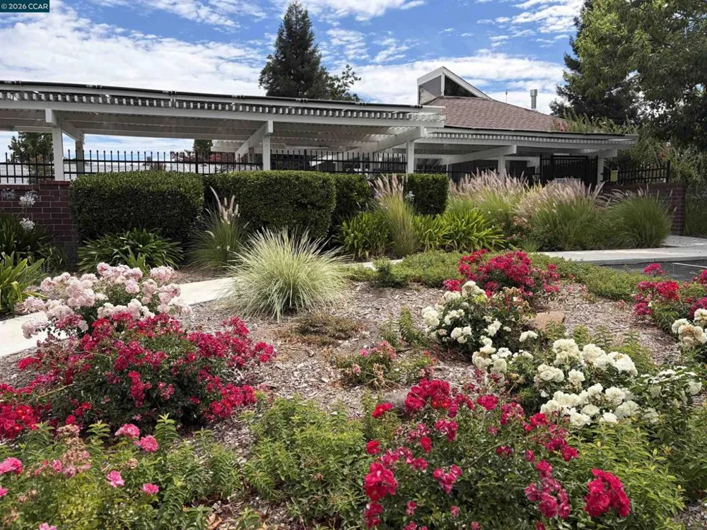 2834 Royal Ann Ln. Concord, CA 94518