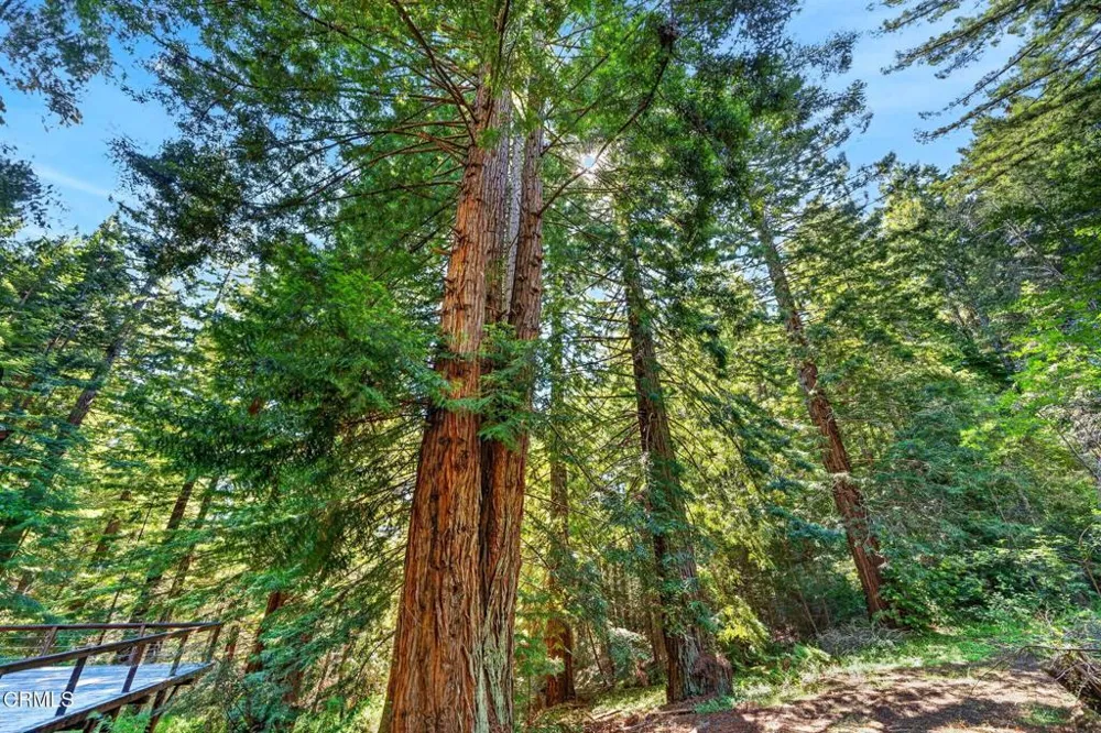 30901 Philo Greenwood Road Elk, CA 95432