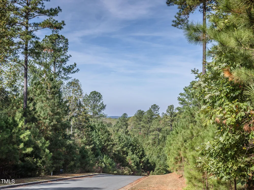 774 Golfers View Pittsboro, NC 27312
