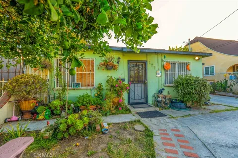 123 Magnolia Court