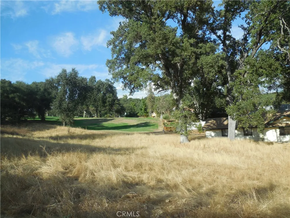 1 Griffin Drive Oakhurst, CA 93644