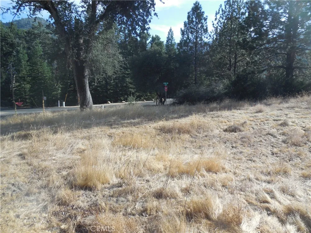 1 Griffin Drive Oakhurst, CA 93644