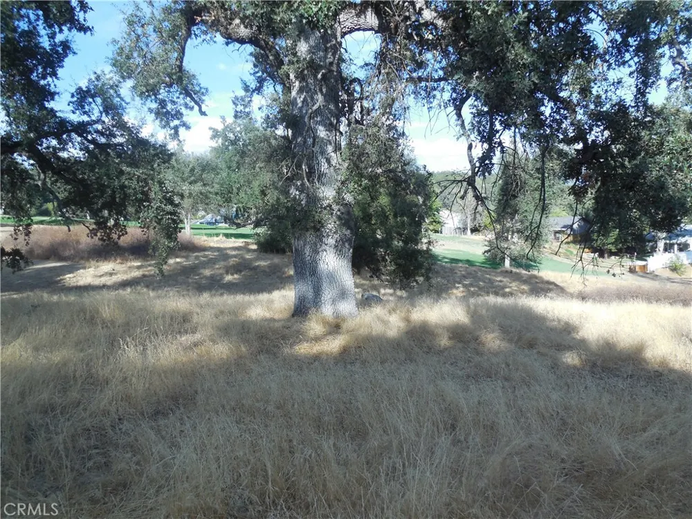 1 Griffin Drive Oakhurst, CA 93644
