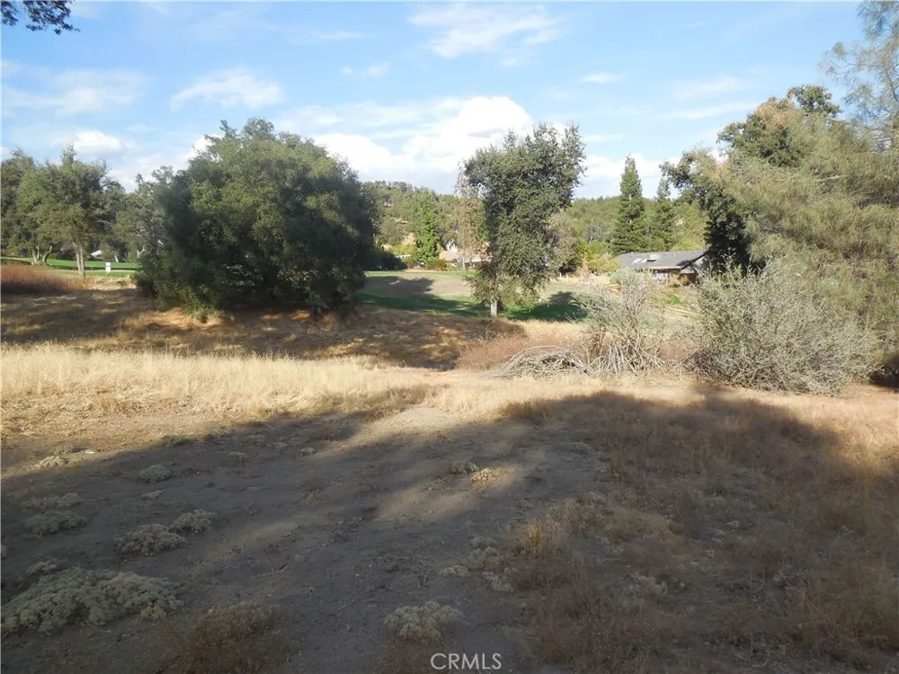 1 Griffin Drive Oakhurst, CA 93644