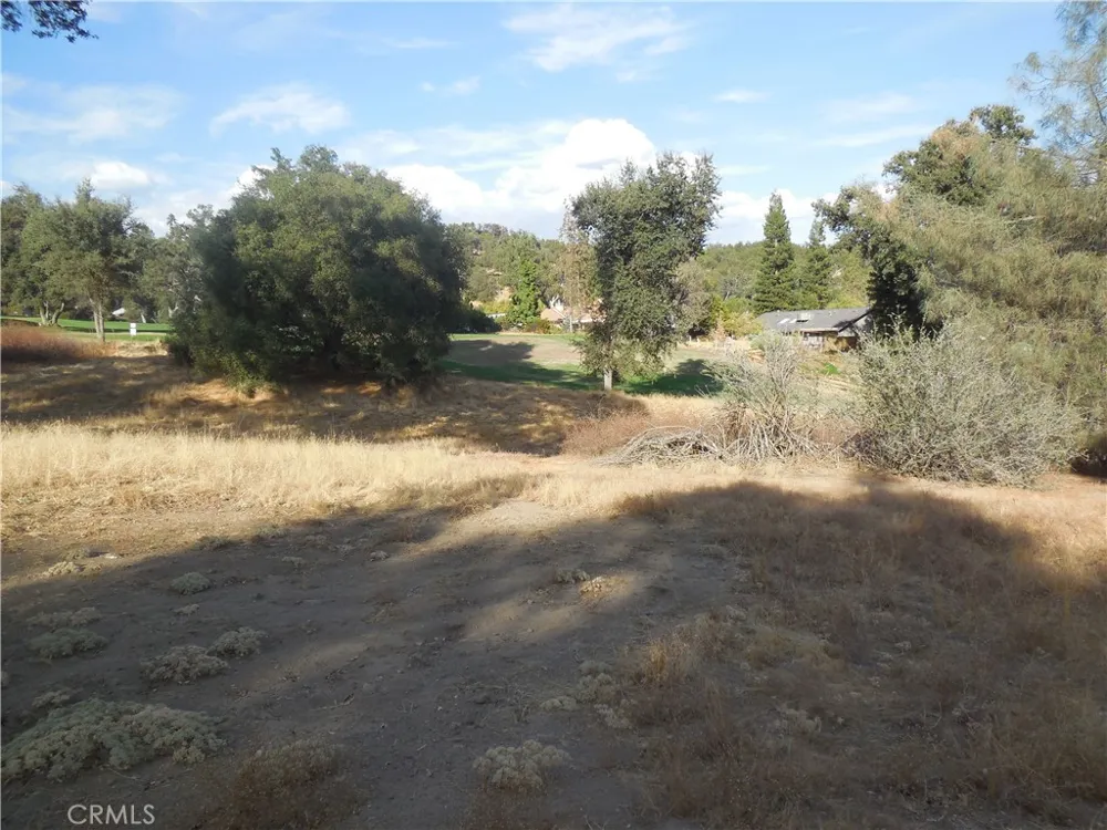 1 Griffin Drive Oakhurst, CA 93644
