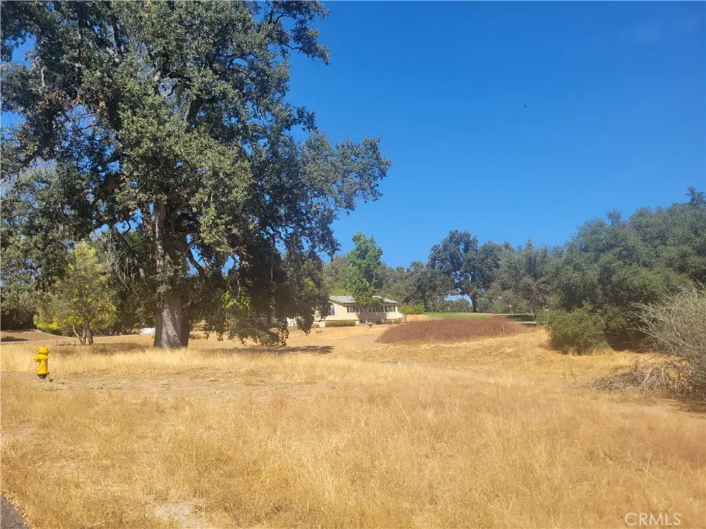 1 Griffin Drive Oakhurst, CA 93644