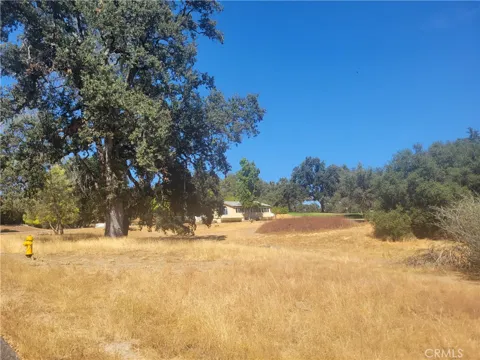 1 Griffin Drive