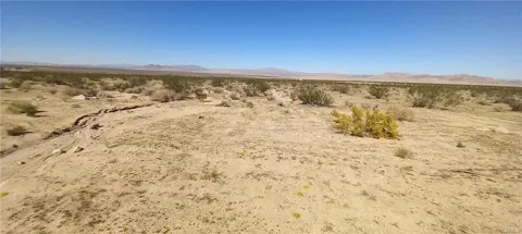 Joshua Tree Road