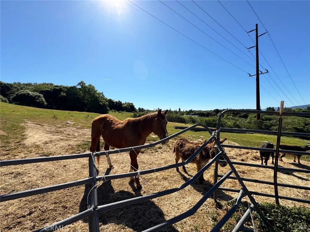 4400 Lake Ridge Drive Ukiah, CA 95482