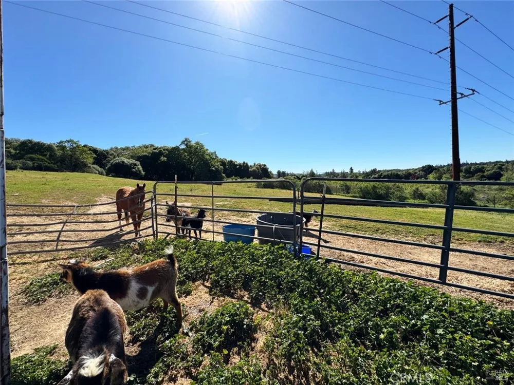 4400 Lake Ridge Drive Ukiah, CA 95482