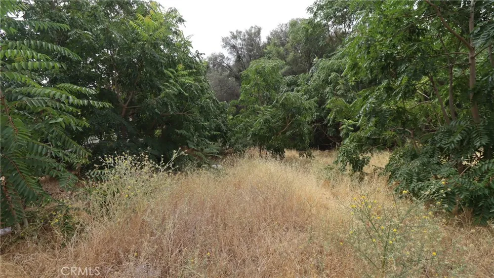 3292 9th Street Clearlake, CA 95422