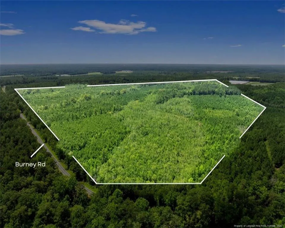 Burney Road White Oak, NC 28399