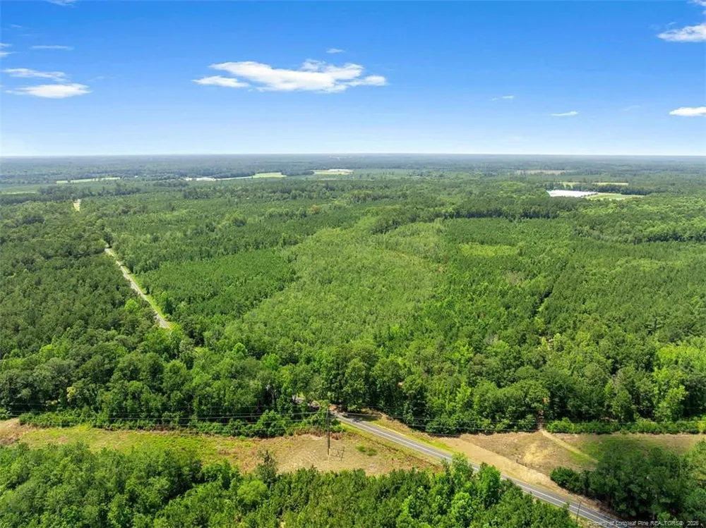 Burney Road White Oak, NC 28399