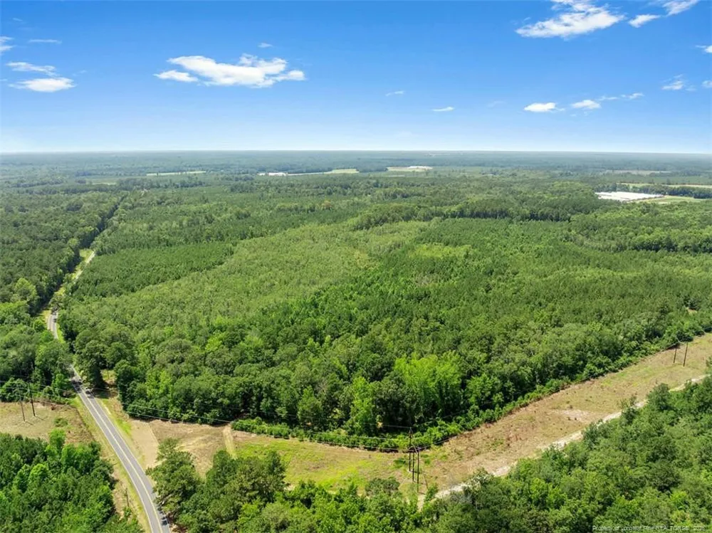 Burney Road White Oak, NC 28399