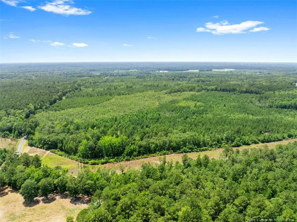 Burney Road White Oak, NC 28399
