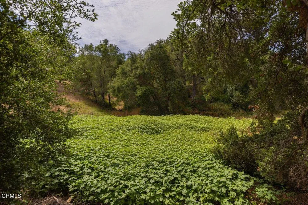 1410 Baldwin Road Ojai, CA 93023