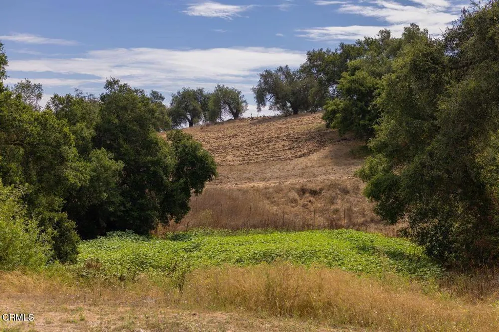 1410 Baldwin Road Ojai, CA 93023