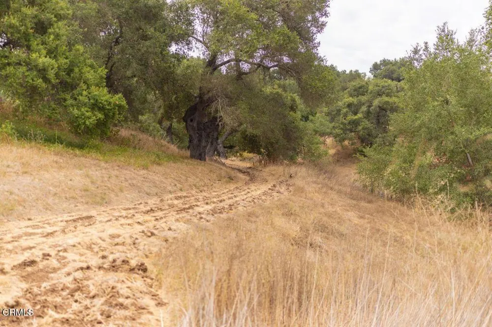 1410 Baldwin Road Ojai, CA 93023