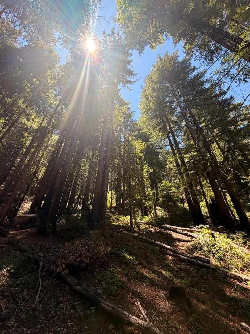 11837 Clear Creek Road Brookdale, CA 95007