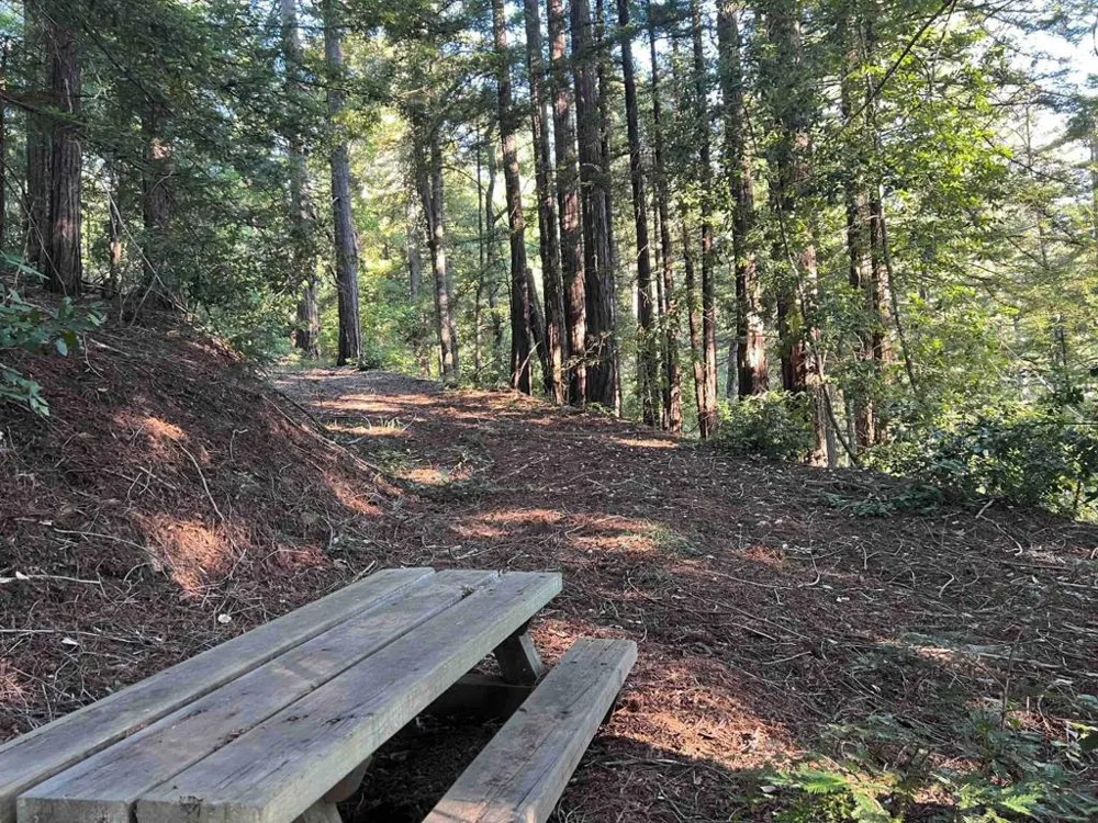 950 Oak Ridge Road Los Gatos, CA 95033