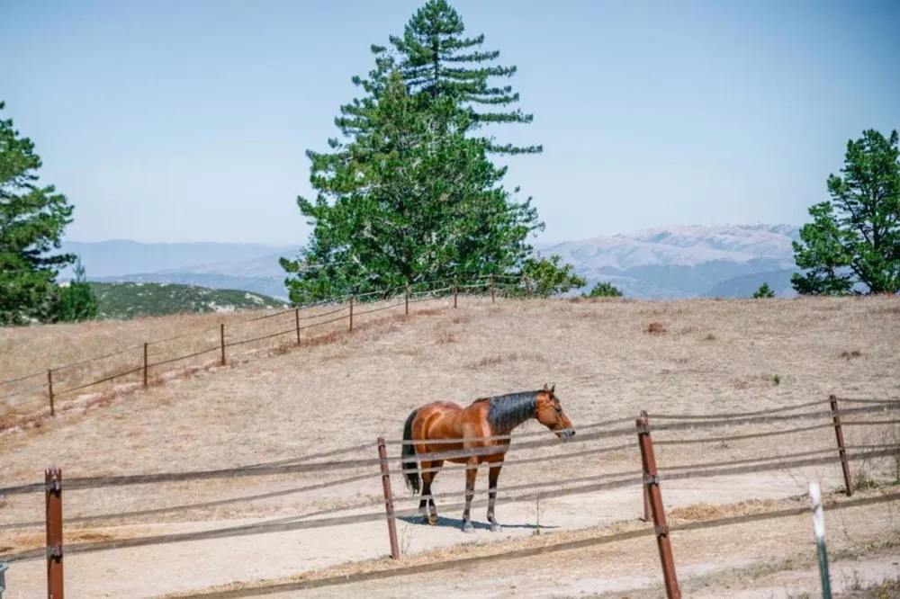 300 Corona Road Carmel, CA 93923