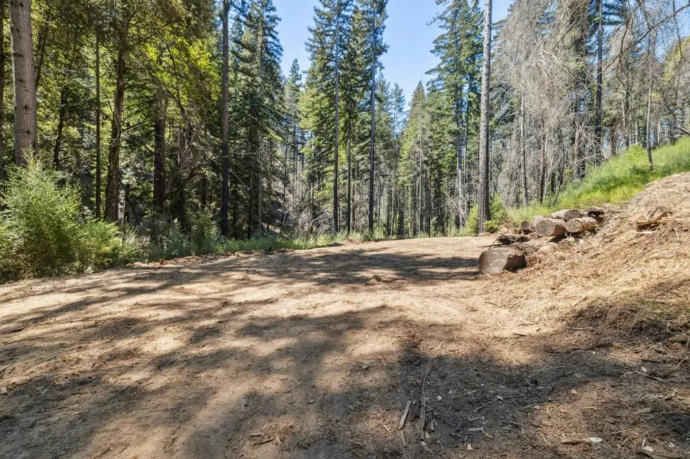 & 06 Branson Boulder Creek, CA 95006