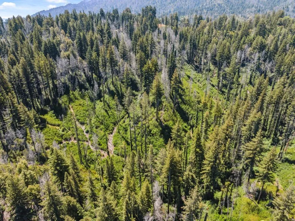 & 06 Branson Boulder Creek, CA 95006