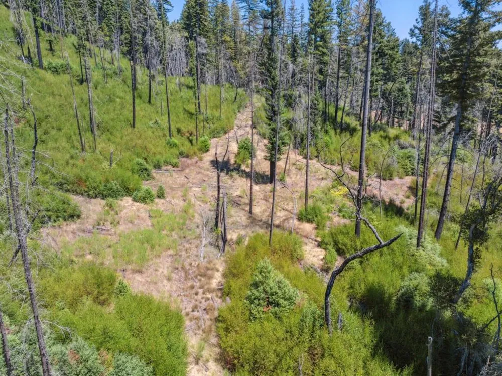 & 06 Branson Boulder Creek, CA 95006