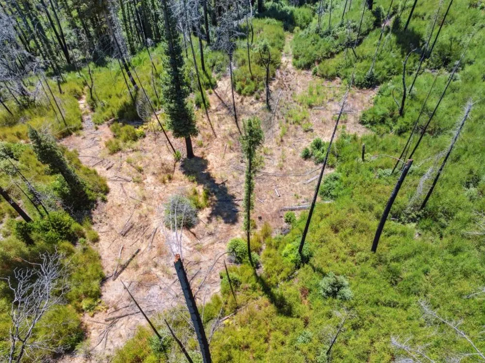 & 06 Branson Boulder Creek, CA 95006