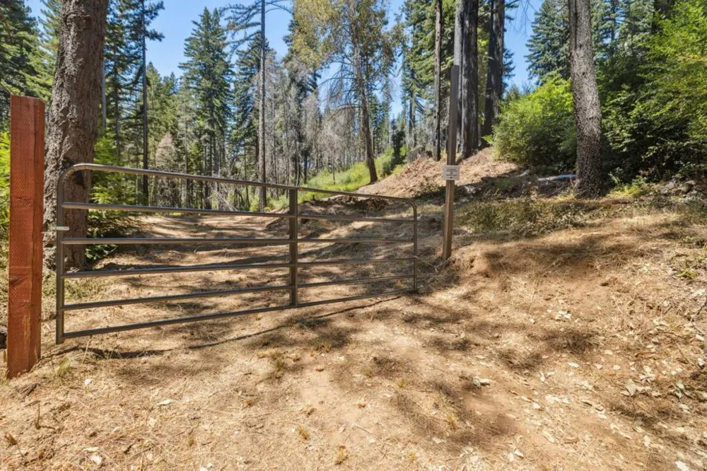 & 06 Branson Boulder Creek, CA 95006