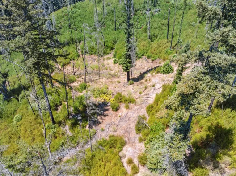 & 06 Branson Boulder Creek, CA 95006