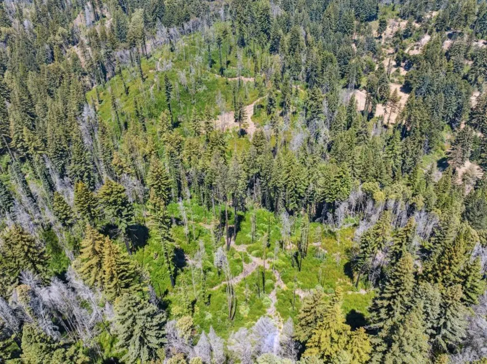& 06 Branson Boulder Creek, CA 95006
