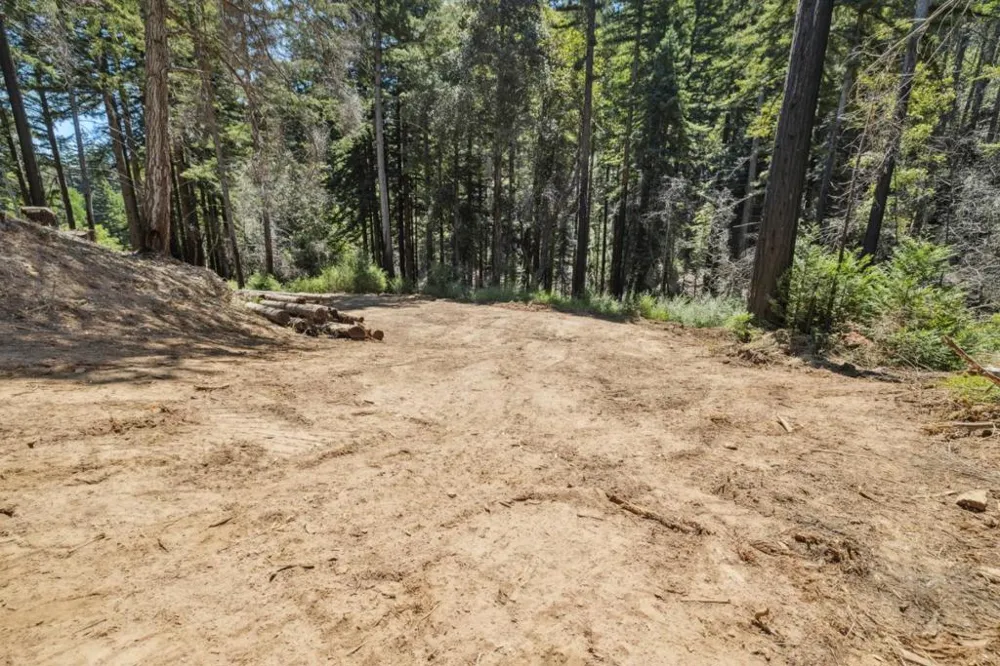 & 06 Branson Boulder Creek, CA 95006