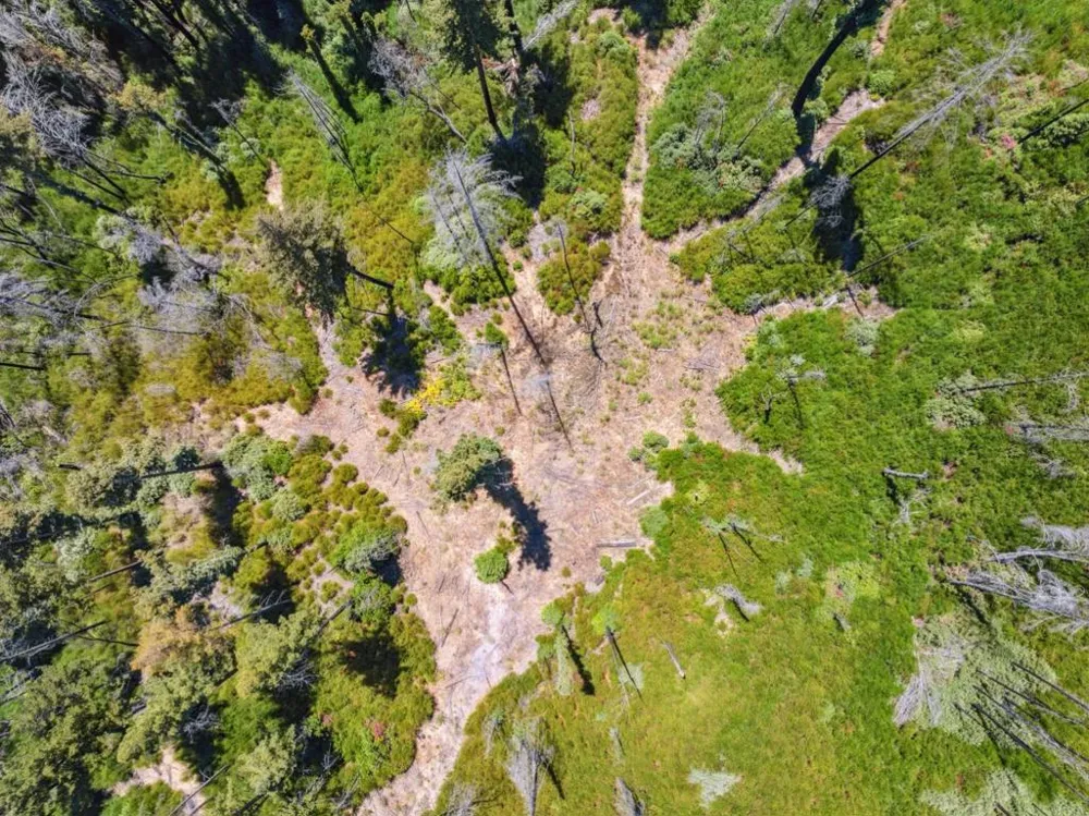 & 06 Branson Boulder Creek, CA 95006