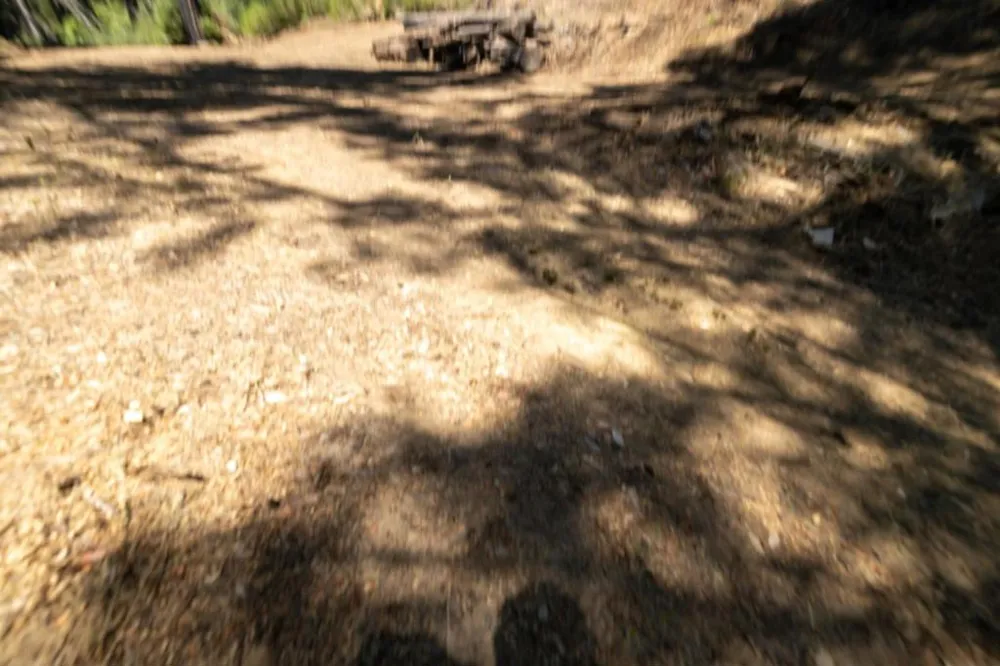 & 06 Branson Boulder Creek, CA 95006