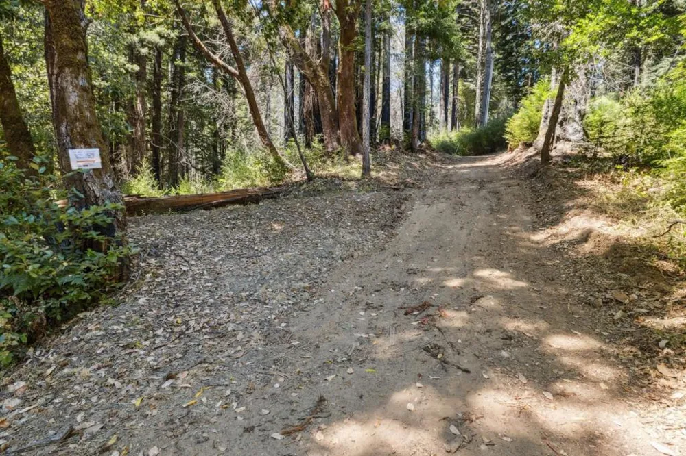 & 06 Branson Boulder Creek, CA 95006