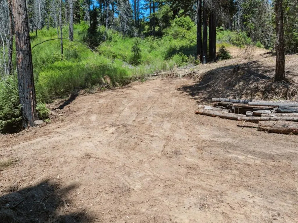& 06 Branson Boulder Creek, CA 95006