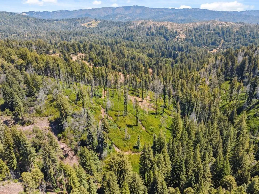 & 06 Branson Boulder Creek, CA 95006