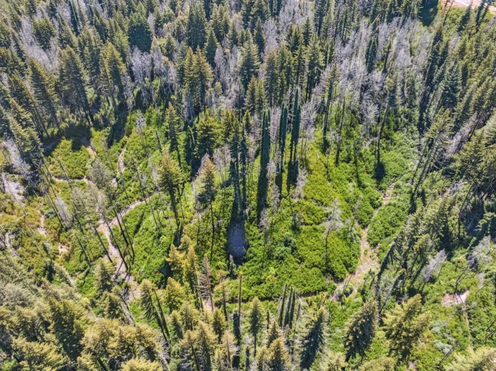& 06 Branson Boulder Creek, CA 95006